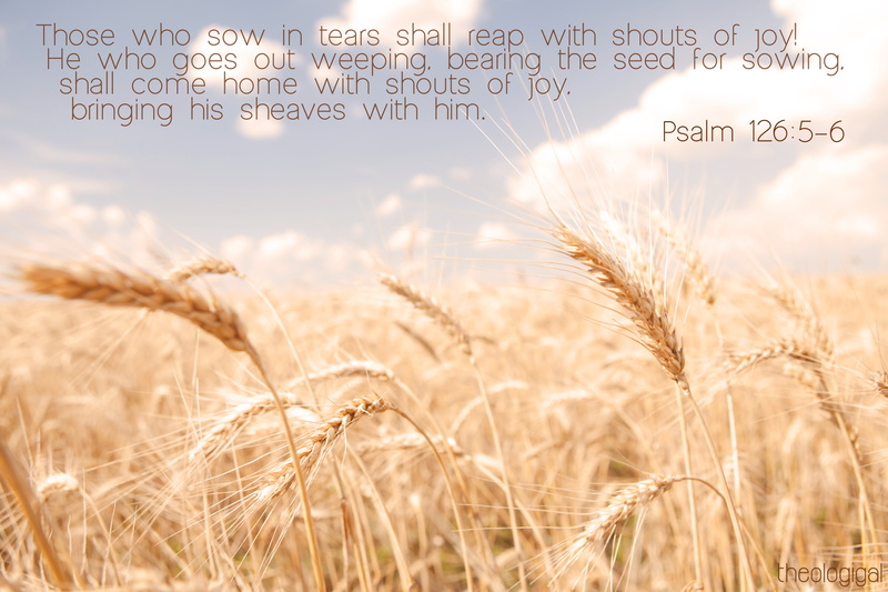 fa, verses, bible, text, quote, religion, poster, 5K