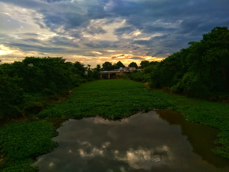 plant, cloud - sky, architecture, reflection, grass, tree, sunset, india, canal, tranquility, scenics - nature, tranquil scene, no people, non-urban scene