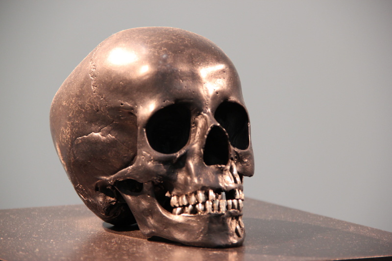 face, human representation, studio shot, death, human bone, human skull, people, monument, skull, brass, still life, metal, colored background, bushing