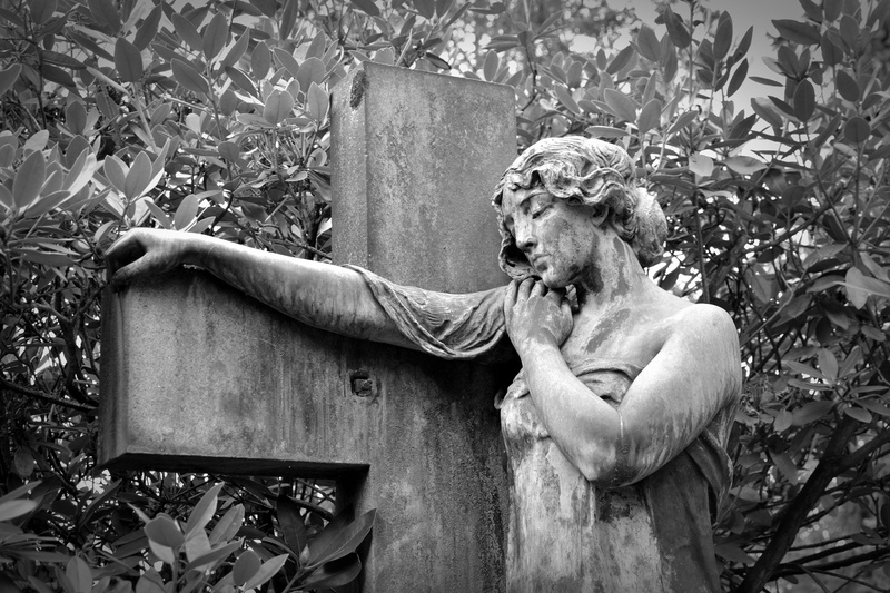 mammal, human representation, sculpture, representation, outdoors, tombstone, art, plant, nature, 5K, statue, woman, art and craft, day, tree, cross, leaf
