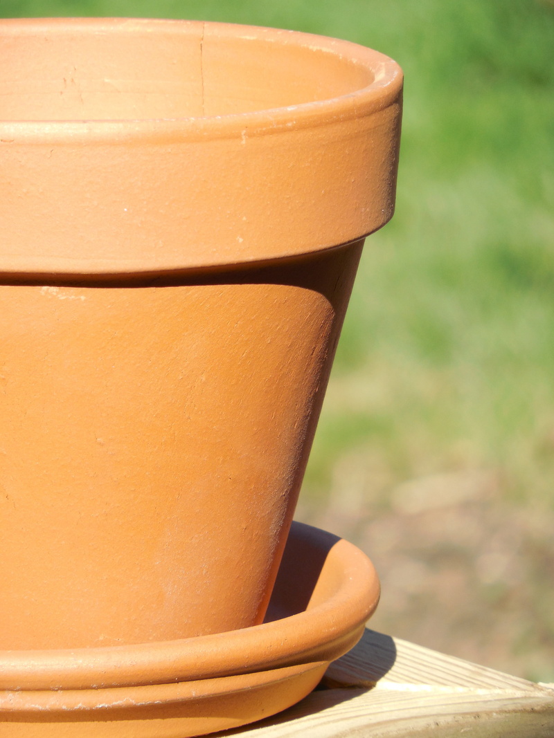table, container, pottery, orange color, garden, mug, hobby, brown, bowl, terra-cotta, outdoors, close, horticulture, food and drink, ceramics, gardening