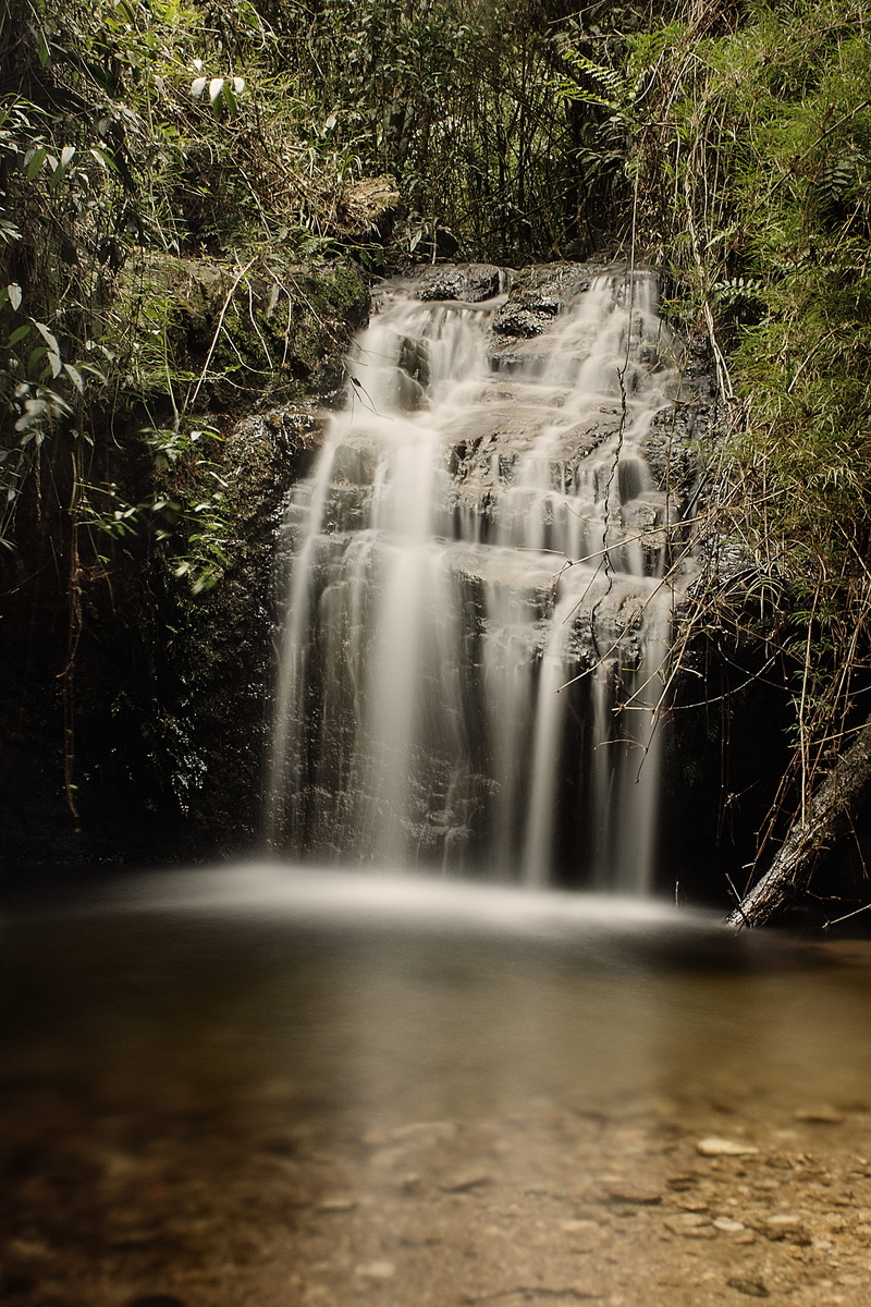 flowing, green, river, tranquility, brazil, 4K, day, beauty in nature, flowing water, plant, brasil, waterfall, plants, waterfront, motion, long exposure