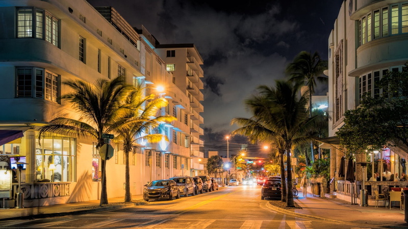 1080P, night, palm trees, street