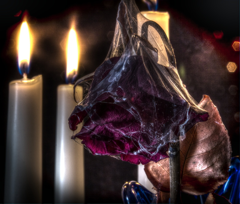 heat - temperature, flame, close-up, fire - Natural Phenomenon, fire, celebration, clothing, candle, darkness, rose, mysterious, scary, fear, nature, halloween