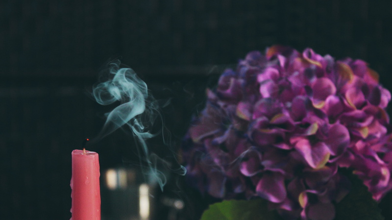 flowering plant, day, candle, close-up, black background, focus on foreground, flowers, freshness, nature, purple, hydrangeas, petal, blur, violet, beauty in nature