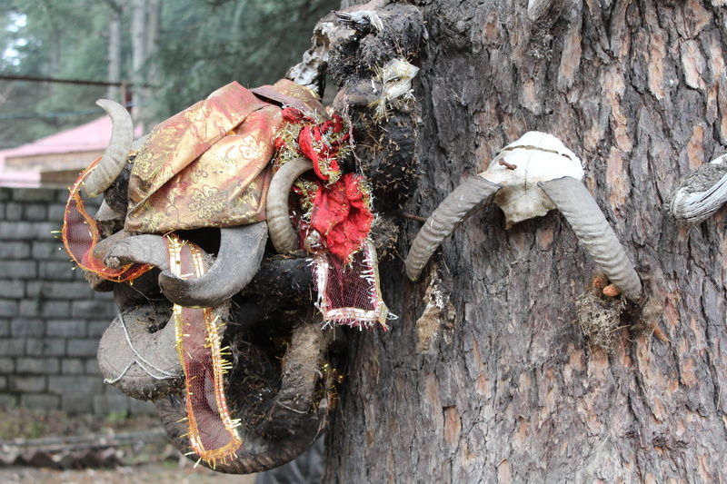 ancient, spiritual, history, indian culture, animal shell, old, demon, ghatotkach, animal, outdoors, strength, tied up, god, focus on foreground