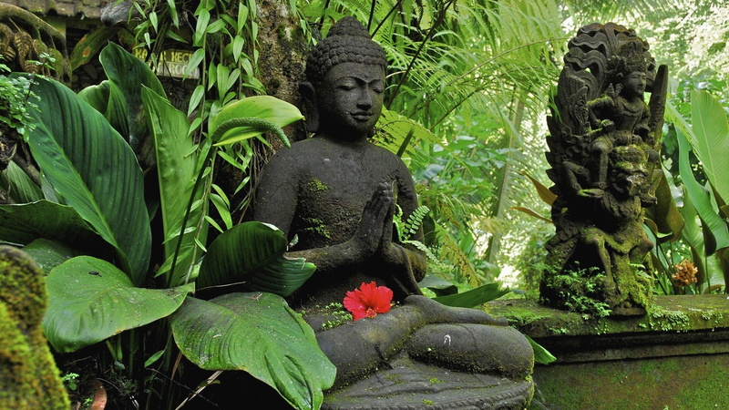 creativity, male likeness, 1080P, plant, ancient, Religious, sculpture, zen-like, buddha, meditating, green color, representation, god, chinese Culture