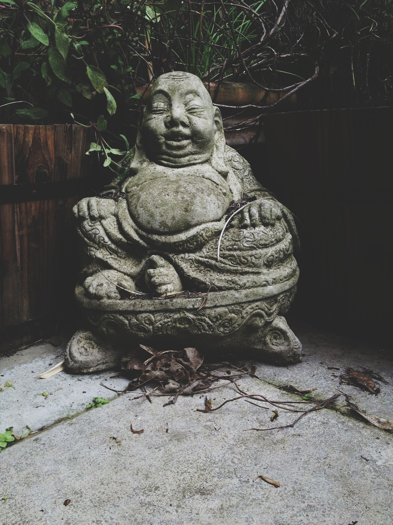 buddhist, close-up, tree, spirituality, relaxation, architecture, god, symbol, male likeness, faith, outdoors, nature, asian, no people, peace, ancient