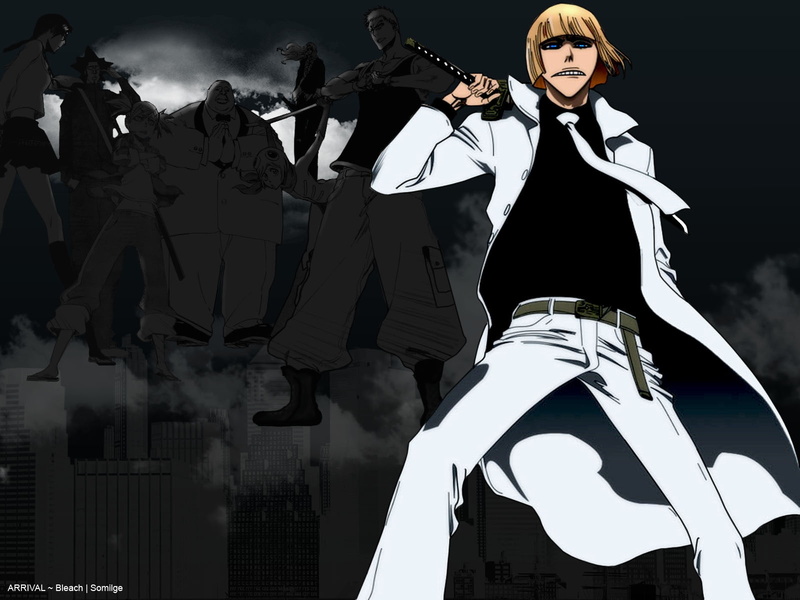 sarugaki, shinji, kensei, anime, hirako, art, love, 720P, r, vizard, bleach, yadomaru, aikawa, hiyori, muguruma, kuna, mashiro, hd, lisa