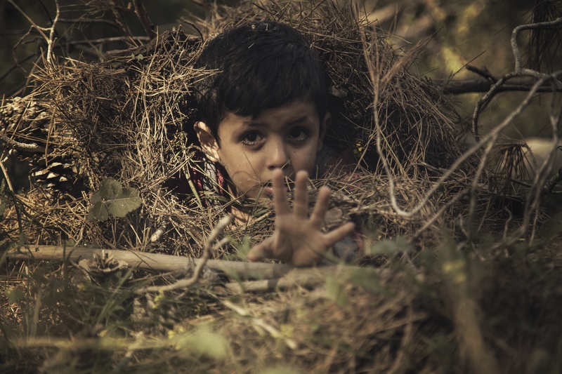 hay, young men, looking at camera, day, front view, selective focus, young adult, 5K, land, outdoors, child, hand, plant, shallow, boy, headshot, help