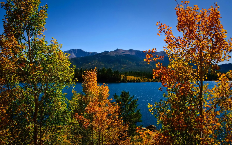 shore, leaves, beautiful, mountain, blue, trees, lake, n-ice, view, covered, autumn, lovely, branches, fall, green, 2K, nature, clear, grass, water