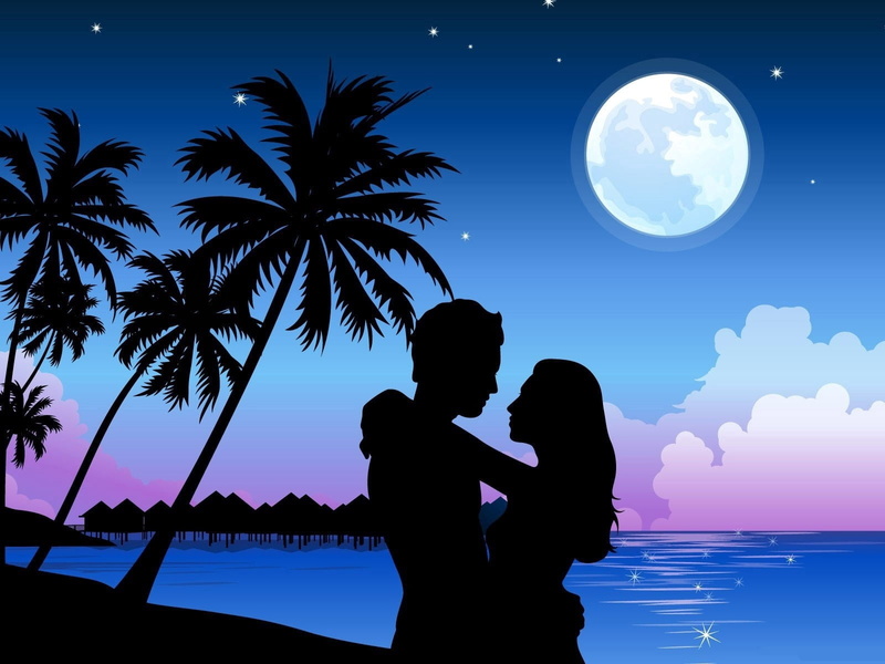 romance, males, emotion, tropical Climate, couple, silhouette, lilac, water, togetherness, vacations, the Human Body, positive emotion, palm Tree, beach