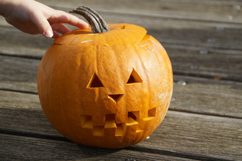 human body part, lantern, person, holding, o, season, human hand, table, orange Color, hand, jack olantern, face, craft, brown, 5K, anthropomorphic face