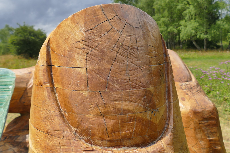 focus on foreground, food, close-up, animal themes, wood finger, land, art, brown, forest, figure, one animal, noble, wood carving, trunk, plant, links hand