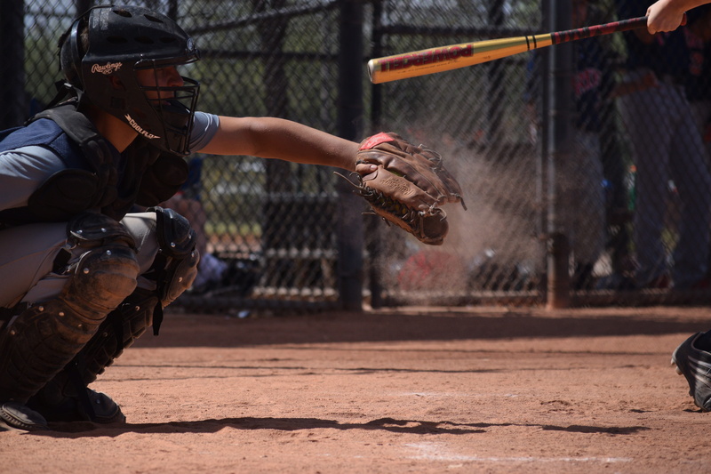 catcher, incidental people, sunlight, focus on foreground, outdoors, aggression, baseball, men, high school, city, real people, one person, bird, vertebrate