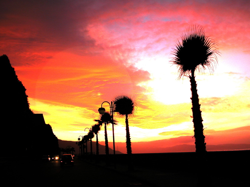 romantic sky, Sunset, beauty in nature, Lido, silhouette, evening, 2K, tropical climate, outdoors, orange color, beach, palms, Beach, palm tree, no people