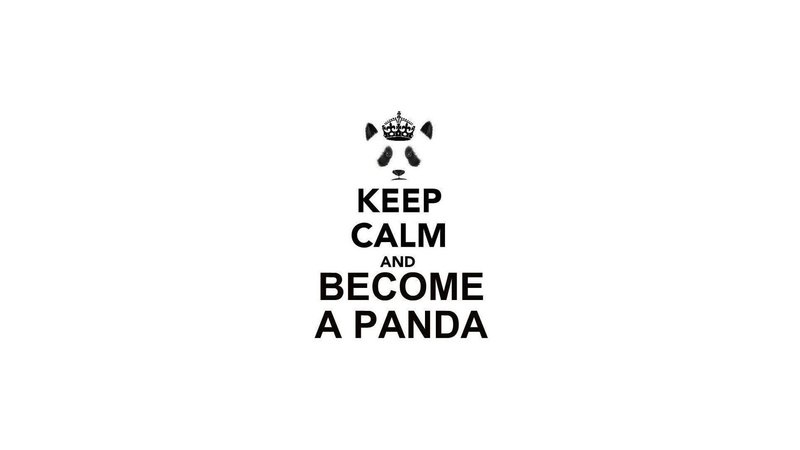 Keep Calm and..., minimalism, white background, 1080P, panda, typography