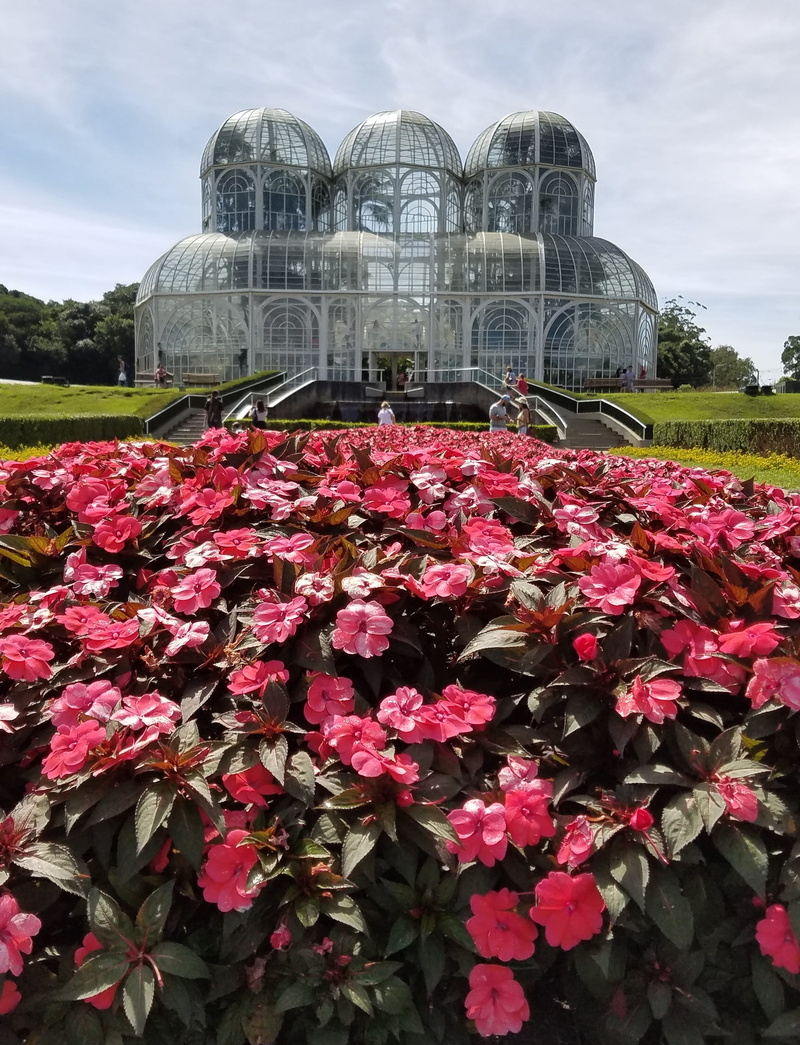 fragility, plant, day, building exterior, growth, outdoors, pink flower, no people, botanical garden, tourism, botanist, greenhouse, jardim botanico, freshness
