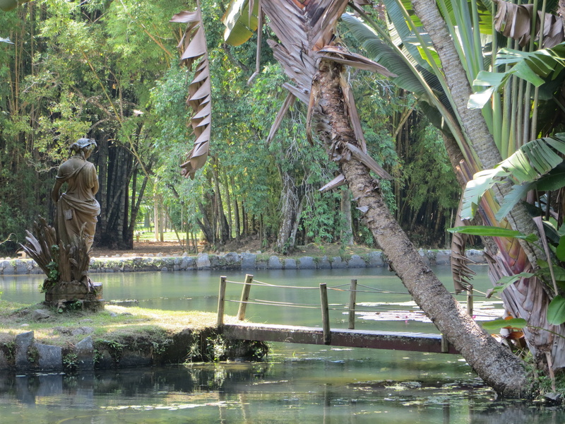 lake, reflection, tree, day, jardin botanico, sculpture, water, 4K, palm tree, trunk, tropical climate, rio de janeiro, tranquility, no people, beauty in nature