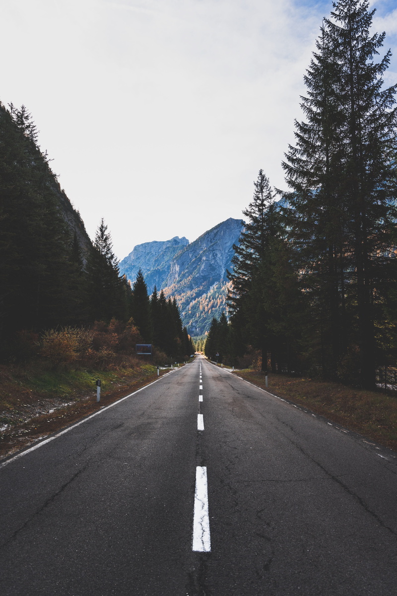 water, transportation, green Color, beauty In Nature, the way forward, autumn, marking, road marking, direction, forest, journey, tree, dividing line, sign