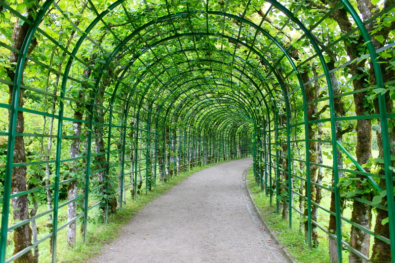 no people, diminishing perspective, green color, leaves, bamboo - plant, outdoors, background, direction, 4K, nature, tranquility, archway, architecture
