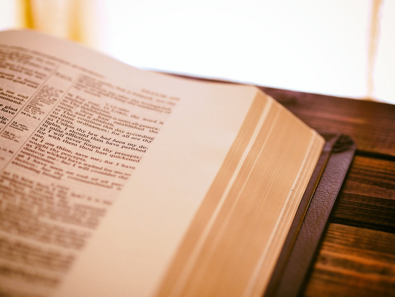 growth, bible scripture, selective focus, still life, education, psalm 119, spiritual, surface, music, word, page, 4K, brown, communication, publication