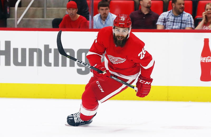 Detroit Red Wings, The game, The Detroit Red Wings, 2K, Athlete, Ice, Detroit, Hockey League, Hockey, Player, Equipment, Luke Witkowski, Sport, National Hockey League