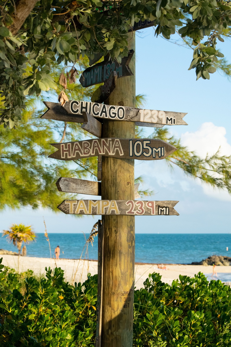choices, green, florida, cruse, information sign, coast, day, text, usa, choice, no people, tropical, decisions, sign, holiday, growth
