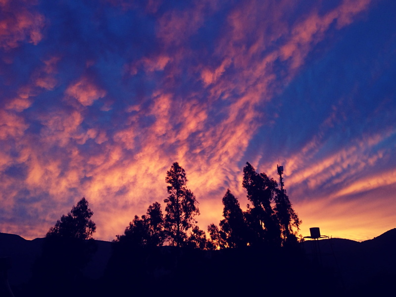 night, pink, warm, scenics - nature, photooftheday, ocean, no people, coniferous tree, all sunsets, dusk, Sunrays, amazing, non-urban scene, architecture