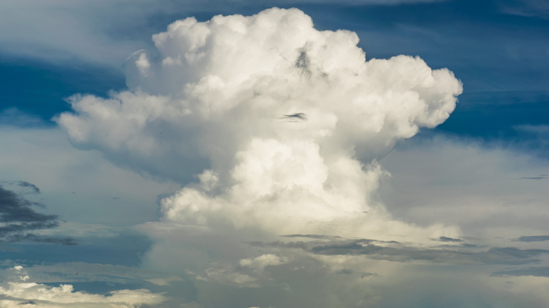 mid-air, overcast, on the move, epicsky, clouds, instacloud, low angle view, lovers, skies, bird, skyporn, beautiful, crazyclouds, mode of transportation