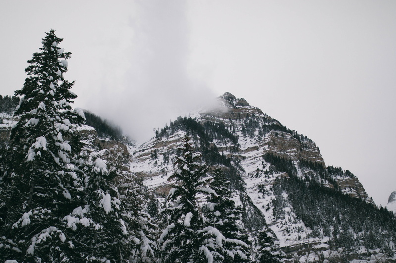 explore, folk, plant, formation, folkvibe, non-urban scene, everydayproject, coniferous tree, winter, tree, tranquil scene, land, outdoor, day, no people