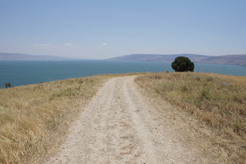 mountain, galilee, sky, sea, road, water, tranquil scene, the way forward, israel, grass, trace, tranquility, sea of galilee, growth, non-urban scene, beauty in nature