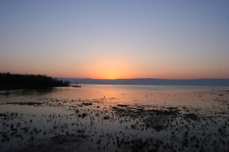 Sea Of Galilee, horizon over water, low tide, Sunrise, sea, sun, golden, tranquil scene, tourism, Israel, tranquility, non-urban scene, horizon, Lake, morning