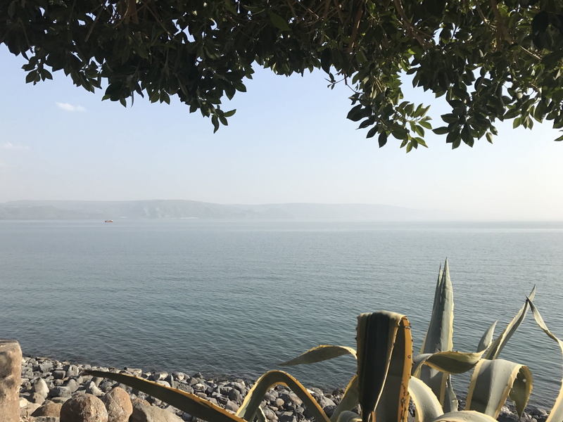 sunlight, day, nature, israel, beauty in nature, no people, idyllic, 4K, tranquility, landscape, water, tree, galilee sea of, tranquil scene, sky, non-urban scene