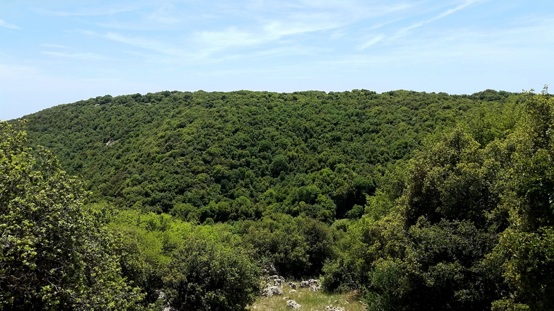 beauty in nature, hill, green, forest, rainforest, galilee, no people, scenics - nature, tranquil scene, tranquility, sky, non-urban scene, plant, green color