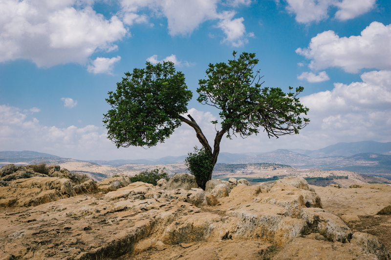 hike, mount arbel, cloud - sky, growth, outdoors, rock, tranquil scene, day, non-urban scene, plant, no people, sky, israel, view, nature, tree, climate