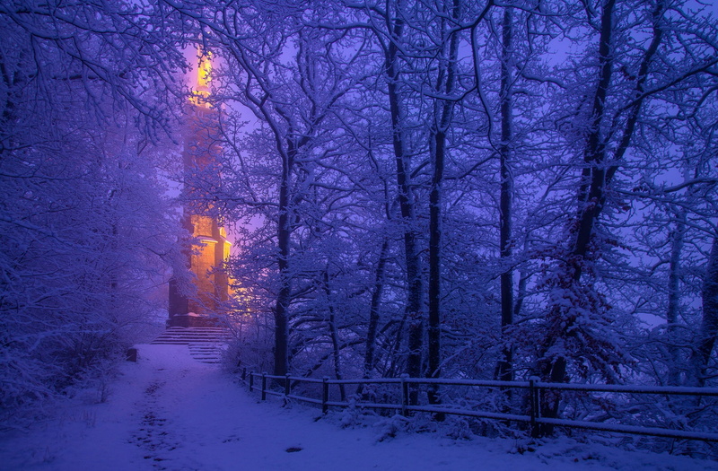 trees, snow, St Marys Column, Trier, Germany, winter, Marian column, 1080P, Column Of Holy Mary