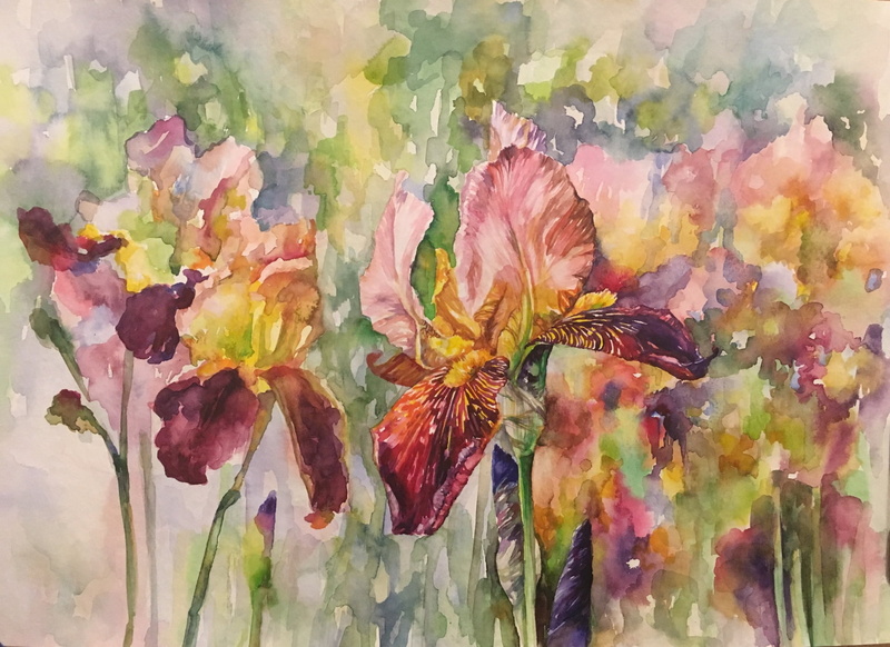 the work of Irene Michel, painting, watercolor, flowers, 1080P, irises