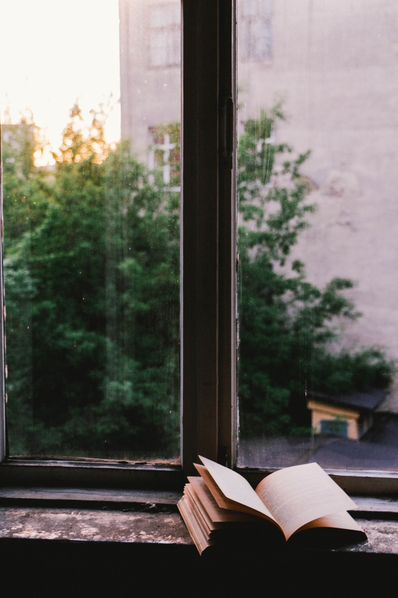 opened, shield, glass - material, close-up, tree, nature, book, focus on foreground, window, green color, transparent, beside, plant, glass, open, wood - material