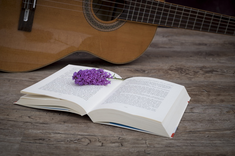 string, indoors, education, publication, learning, wood - material, book, table, blossom, read, literature, open, pages, buddleja davidii, brown, pedagogy