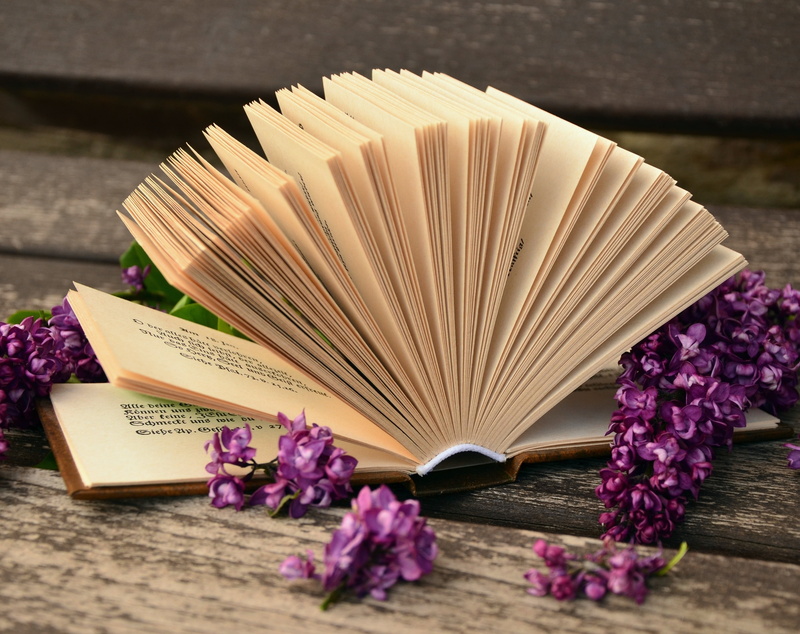 Lilac, Vintage, freshness, Bank, macro, education, indoors, Paper, Relax, Open, book pages, publication, still life, flowering plant, 2K, Spring, Read