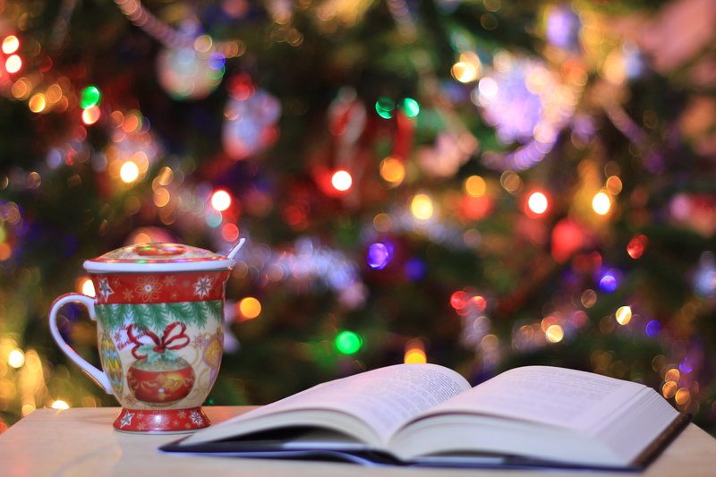plant, christmas, paper, no people, green, decoration, nature, night, mug, ceramic, 2K, focus on foreground, crockery, near, table, book, publication