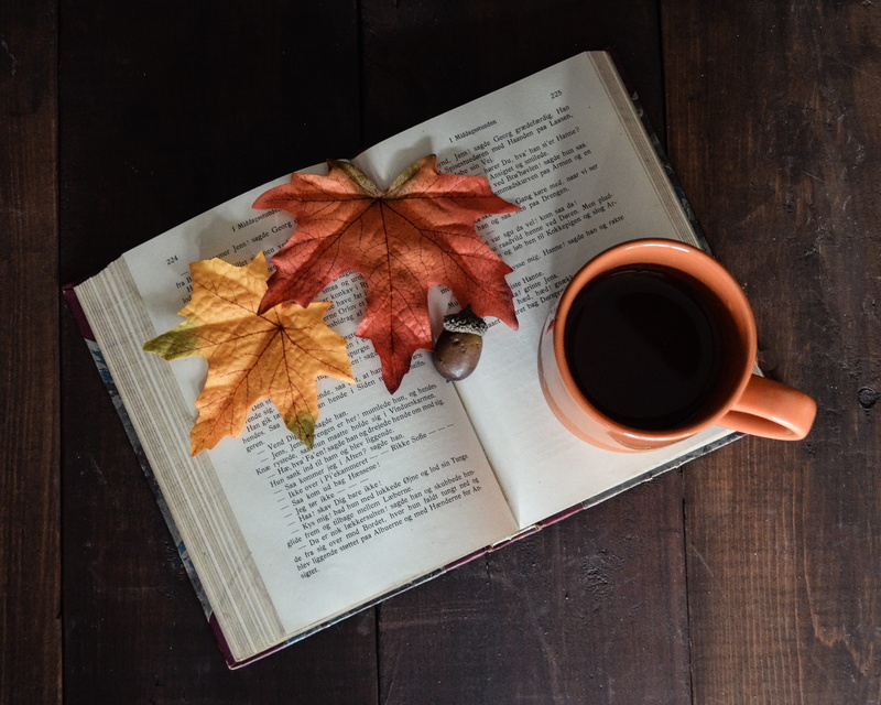 directly above, leaf, indoors, red, food and drink, cup, tea cup, refreshment, paper, coffee cup, ceramic, still life, wood - material, top, mug, snack