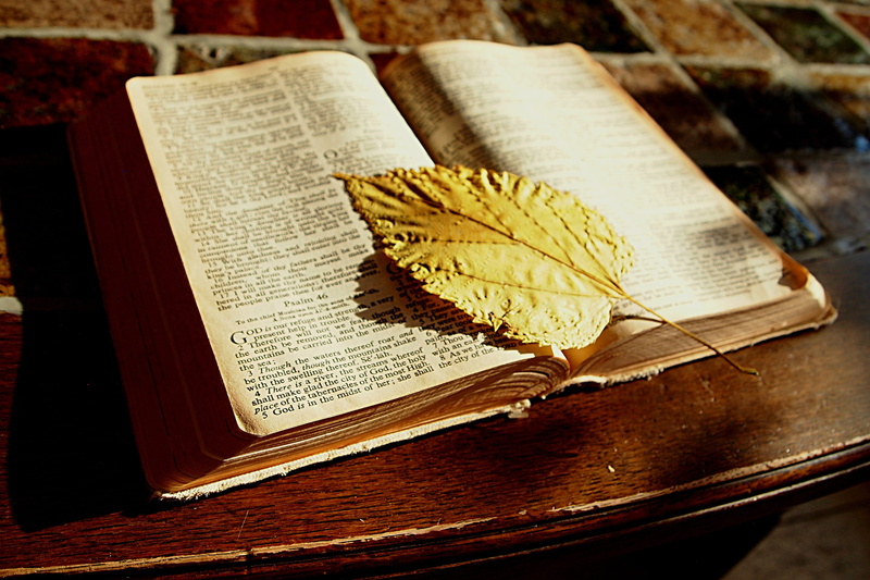 religion, printed, book, paper, communication, publication, old, belief, faith, bookmark, 4K, open, indoors, high angle view, yellow, text, antique, wood - material