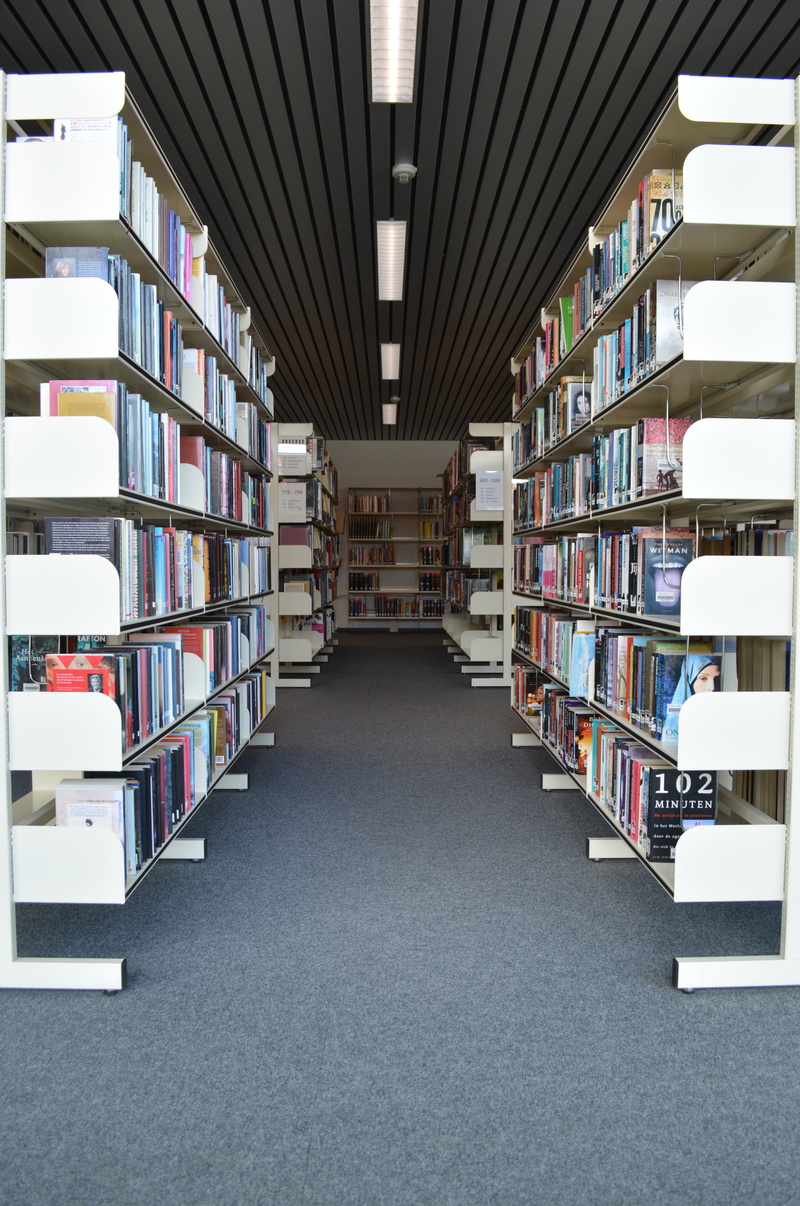 order, indoors, library, learning, school, building, education, bookshelf, choice, university, ceiling, publication, literature, variation, abundance, read