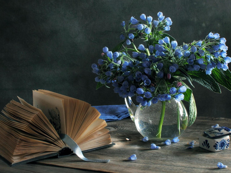 decoration, book, blue, flower head, vase, bunch of flowers, gently, page, wood - Material, backgrounds, petal, publication, freshness, no people, bouquet