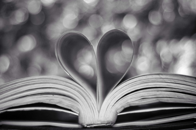 still life, learning, expertise, paper, black and white, open, valentines day - holiday, circles, monochrome, 4K, page, monochrome photography, heart