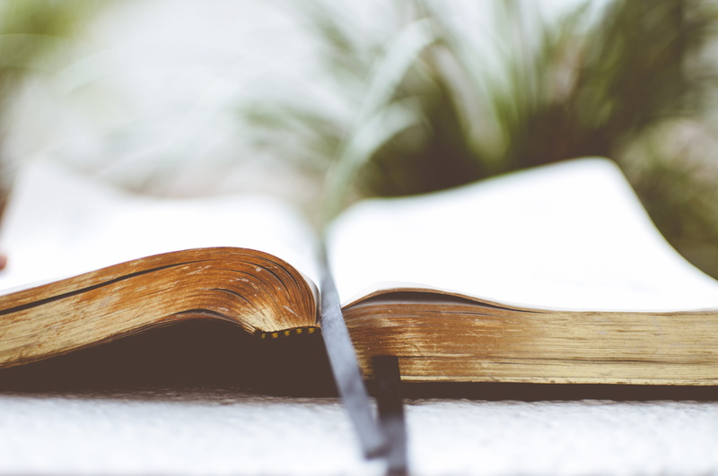 literature, closeup, wood - material, bible, close-up, photo, book, surface, read, two objects, no people, catholic, focus on foreground, religiou, publication