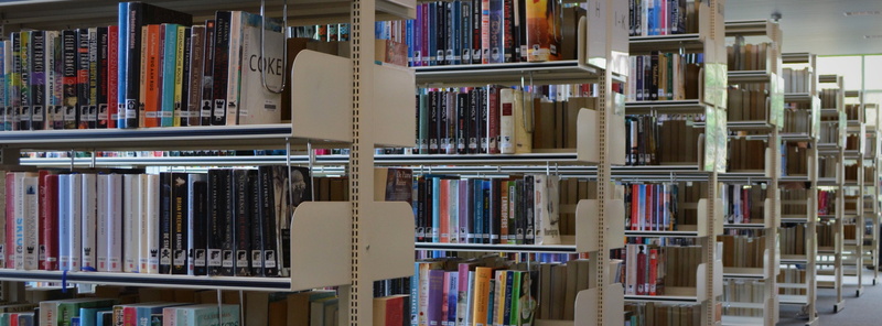 order, collection, no people, in a row, shelf, read, library, learning, variation, bookstore, arrangement, studying, large group of objects, publication