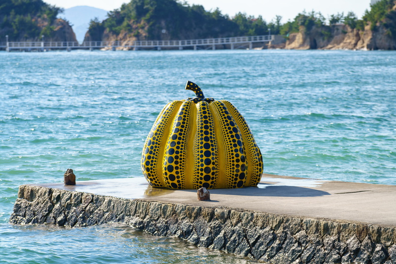 wood - material, tree, no people, yellow, animal, focus on foreground, rock - object, water, rock, day, 8K, beach, scripture, nature, animal themes, japan